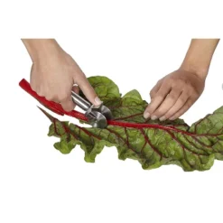 Kuhn Rikon Leafy Greens Zipper, Stainless Steel