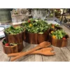 Kalmar Home Aolid Acacia Wood 7 Piece - Extra Large Salad Bowl With Servers And 4 Individuals -Target KitchenAid GUEST 1e13bc0a 46ff 454b 8ec2 07d455851763