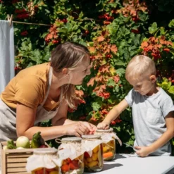 Unique Bargains Wooden Wide Mouth Mason Jar Lids With Airtight Silicone Seal 24 Pcs -Target KitchenAid GUEST 689f3338 f782 4baf be9a b59a691c16a7