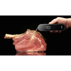 Typhur Probe Core Instant Read Digital Meat Thermometer -Target KitchenAid GUEST 795045ae 1a12 4d58 a3c4 01e8e009601f